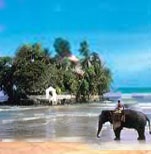 Taprobane Island